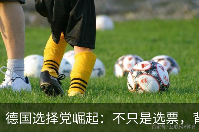 德国选择党崛起：不只是选票，背后藏着的三根柱子崩塌了！